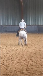 52K views · 837 reactions | Professional Cowhorse trainer Cody Patterson works with an older horse that gets tight on a cow. He explains why it matters and how to prepare in the boxing for a good fence run. #cowhorse #horsetraining #horsetrainingtips #horseriding #horsetrainer #horselife #horsetrainingvideos #cowhorse | HORSEpro.tv | Facebook