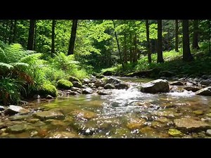 Gentle Water Flow Ambience 1 Hour of Pure Calm