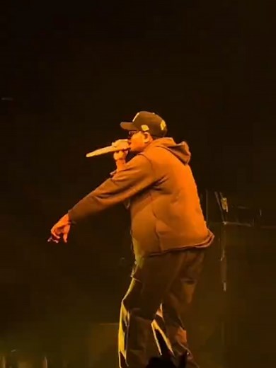 Chris Brown's Go Crazy: Live Concert Experience