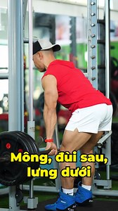 Tập máy smith cho bài chân mông | GYM BẢO BẰNG