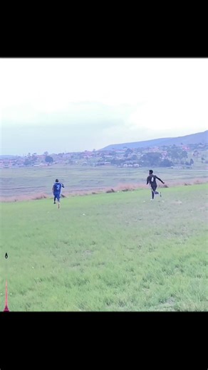 Understanding Creator Search Insights for Content Strategy