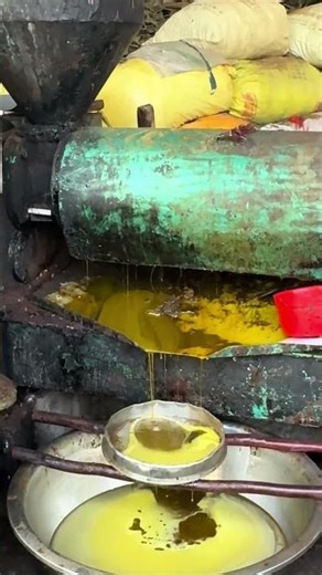 Oil Making Process by Machine Amazing Production #shorts