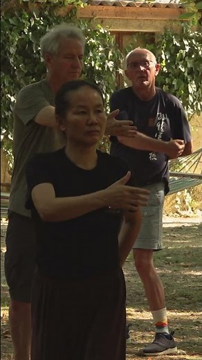 La Grande danse du Qi Gong (Dawu) avec Renping Su-Goarzin