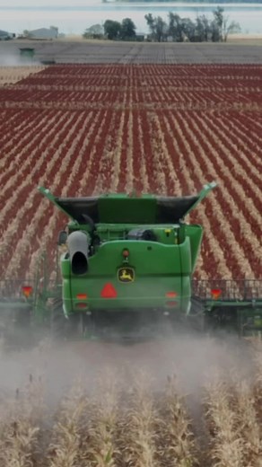 Chewing Sorghum on Broadacre Bros Farm with John Deere Equipment