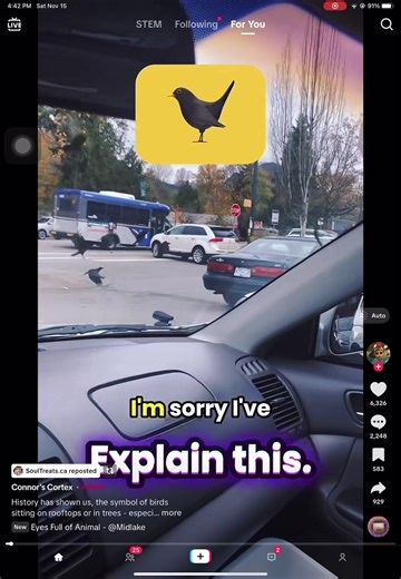 Divine Providence 777 (@divineprovidence777)’s videos with original sound - Divine Providence 777