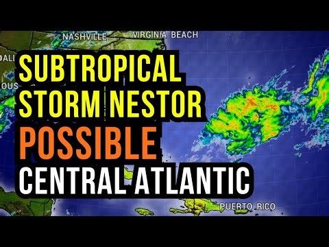 Nestor Trying to Form...