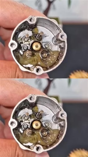 🔩【Inside a Mini Motor - The Art of Micro Assembly】⚙️ Watch gears mesh, coils align, and magnets sync—every step of assembling a compact motor that drives precision pumps and smart devices. #MicroMotor #MotorAssembly #PrecisionEngineering #MiniatureTech #InsideTheMotor
