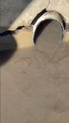 How to get rid of roots in drain pipes we snaked to clear out roots then flush it out with a hose