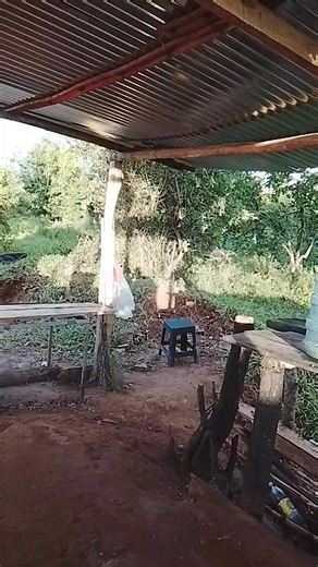 David Santamaría (@david.santamara22)’s videos with sonido original - 👑🇻🇪🇲🇽🦢NELSON☠️