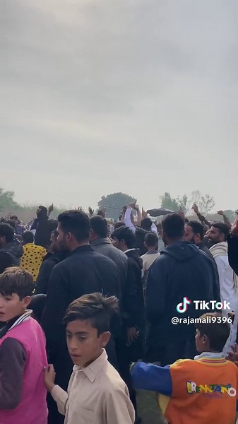 CEASAR FIGHT FULL HIGHLIGHT - Watch the Exciting Dog Fight Video