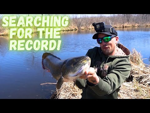 How to catch Bowfin (Early Spring Tactics)
