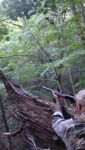 殺ったと思いきや熊に逆狩りされるハンター