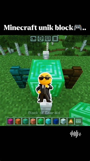 Minecraft unik block😶‍🌫️.#funny