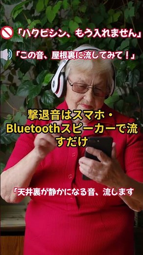 【ハクビシン撃退音】天井裏の物音が消えた！侵入防止に効果的な音とは？
