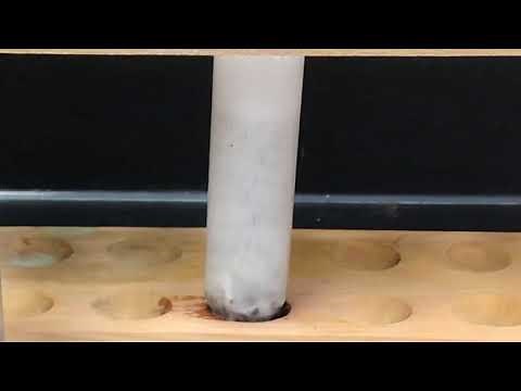 Zinc and Hydrochloric Acid