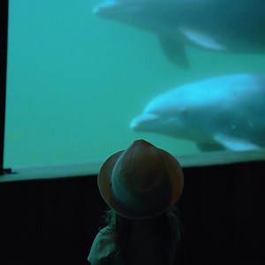 259 reactions · 102 comments | 헗헼헹헳헶헻헮헿헶혂헺 헯헲혀혁헮헮혁 헱헲혇헲 혇헼헺헲헿 ퟲퟬ...