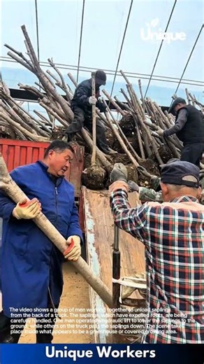 Teamwork Makes the Dream Work: Unloading Saplings with a Hydraulic Lift