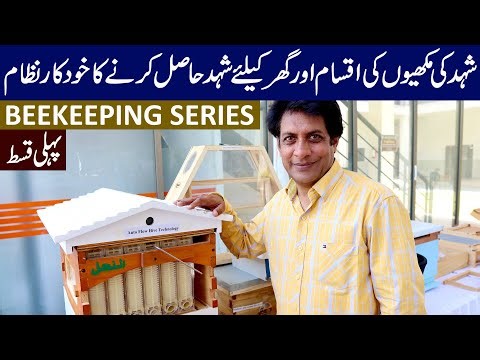 How Honey Bees Work ? Auto Flow Hive Technology | Discussion with Beekeeping Expert | EP#1