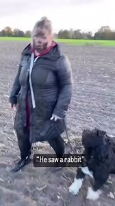 77K views · 855 reactions | Get a dog they said, it'll be fun they said  | Roar Wildlife News | Facebook