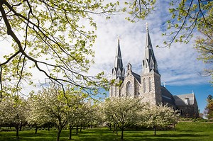 8 Things to do in Villanova