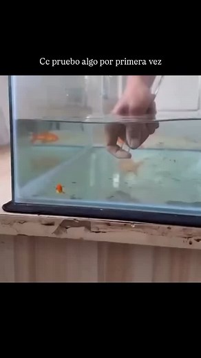 1.2K views · 83 reactions | Voy a vomitaaaarrr 濫冷 | Morbopitufo | Facebook