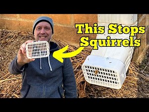 Downspout Splash Guard Review – Keep Squirrels Off Your Roof