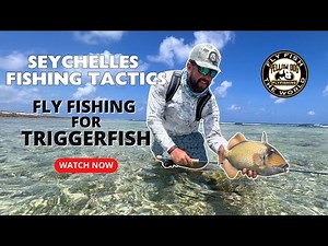 Fly Fishing for Triggerfish | Seychelles Fishing Tactics