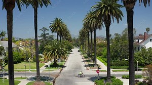 Palm Trees in Los Angeles, Hollywood Sign, peaceful, calm, pristine suburban