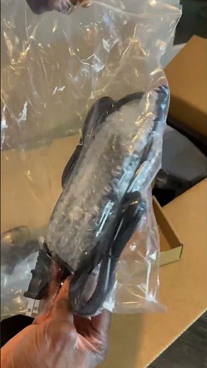 Mowing the lawn just got 1000 times easier..introducing the eufy E18 Robot Lawn Mower