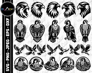 Falcon Vector Bundle: Flying Bird, Nest, Head (svg, Png, Jpg, Eps, Dxf) (digital Download) - Etsy