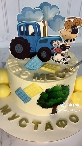 amina_cake_nv on TikTok