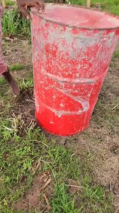 24K views · 366 reactions | the magic box | Sarah Grace | Facebook