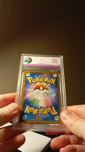 How do you decide which Pokémon cards go on display and which ones stay in storage?