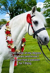 My Passion: Harlow Winning HOYS in Equestrian Competition