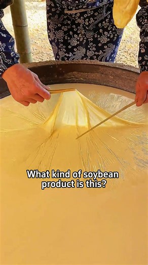 Exploring Unique Soybean Products