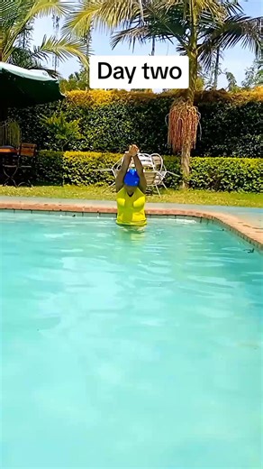 Learn the Breast Stroke Pull for Beginners