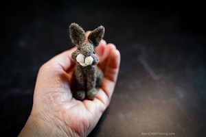 Bunny Needle Felting Kit: Romney Wool, Glass Eyes, Step-by-step Instructions - Etsy