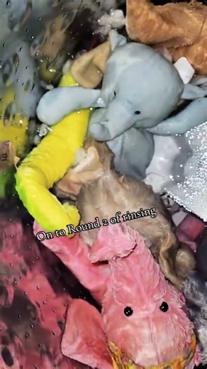 draft 💗💗#plushiecollection #stuffedanimals #plushies #toycollector #stainremoval #restoration #cute