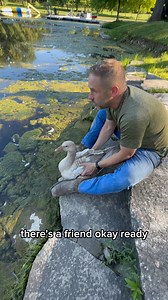 Mccallister’s arrival to the farm! #fluffyfeatherfarm #buffgoose #buff #goose #americanbuff #friend | Fluffy Feather Farm