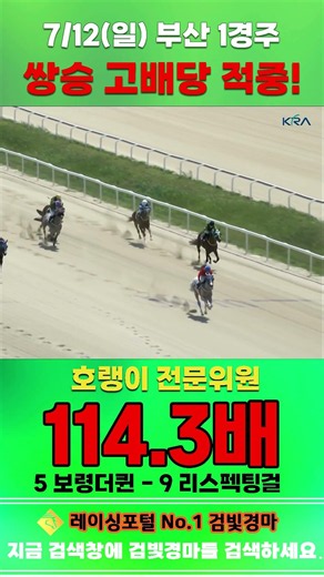 [부산 경마] 7월 12일 일요 1경주 호랭이 전문위원 쌍승 고배당 적중 #경마 #horse #한국마사회 #automobile #하이라이트 #riding #뉴스 #게임 #race