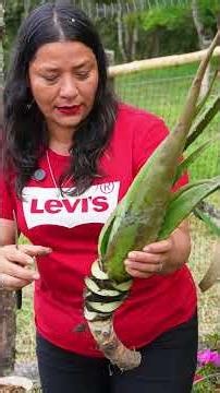Learn this trick to grow your aloe more beautiful than ever