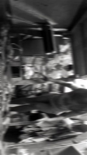 ( angelica )not angela (@herminiamagana0)’s videos with original sound - ️ley