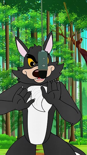 The Big Bad Wolf From The Block To Stardom 🤩