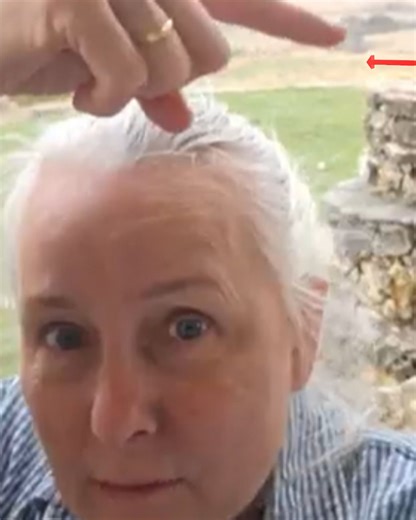 A.C.E.S., Animal chiropractic 101 solves flooding in Texas | Animal Chiropractic Education Source