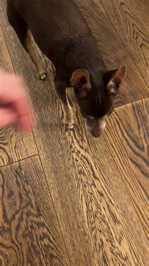 Полное видео на канале 🌟 #пасха#яйца#куличи