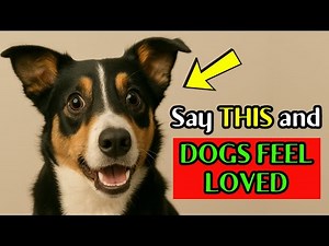 7 Words That Make Your Dog Know You Love Them🐾 (Instantly!) | Smart Dog