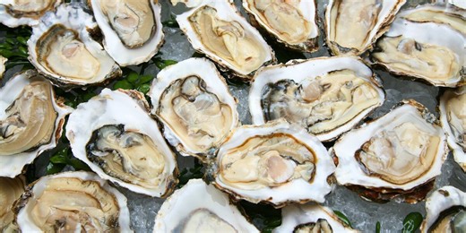 Salmonella outbreak linked to raw oysters sicken dozens of people across 22 states, officials say
