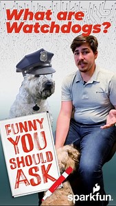 What are watchdogs? Funny you should ask... #coding #engineering | SparkFun Electronics, Inc.