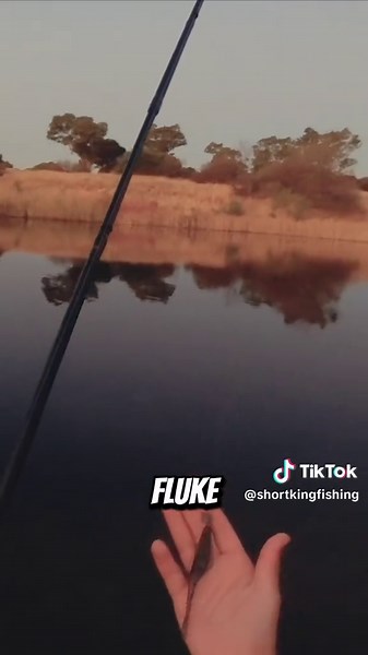 Fishing Basics: Tips for a Successful Session