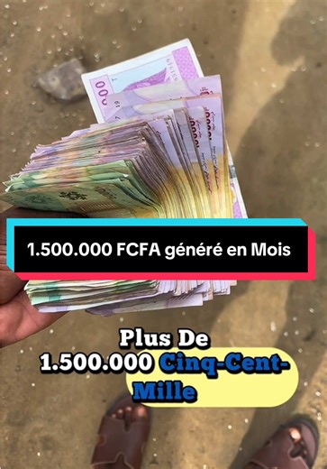 Gagnez sa vie grâce à l’e-commerce au Congo🇨🇬 #Adoteumhabitinho #EcommerceCongo #businessenligne #fy #congo